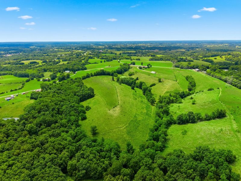 1475 Jonesville Road, Owenton, KY 40359 Photo 13