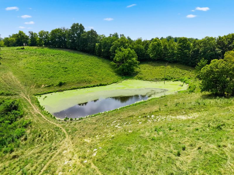 1475 Jonesville Road, Owenton, KY 40359 Photo 9