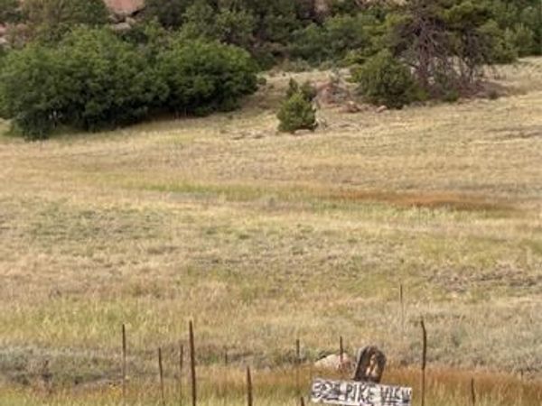 204 Pike View Lane, Florissant, CO 80816