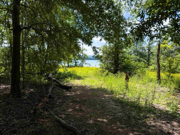 0 Ember Road, Shirley, AR 72153
