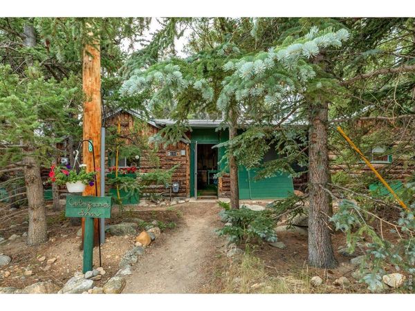 650 W Pine St, Nederland, CO 80466