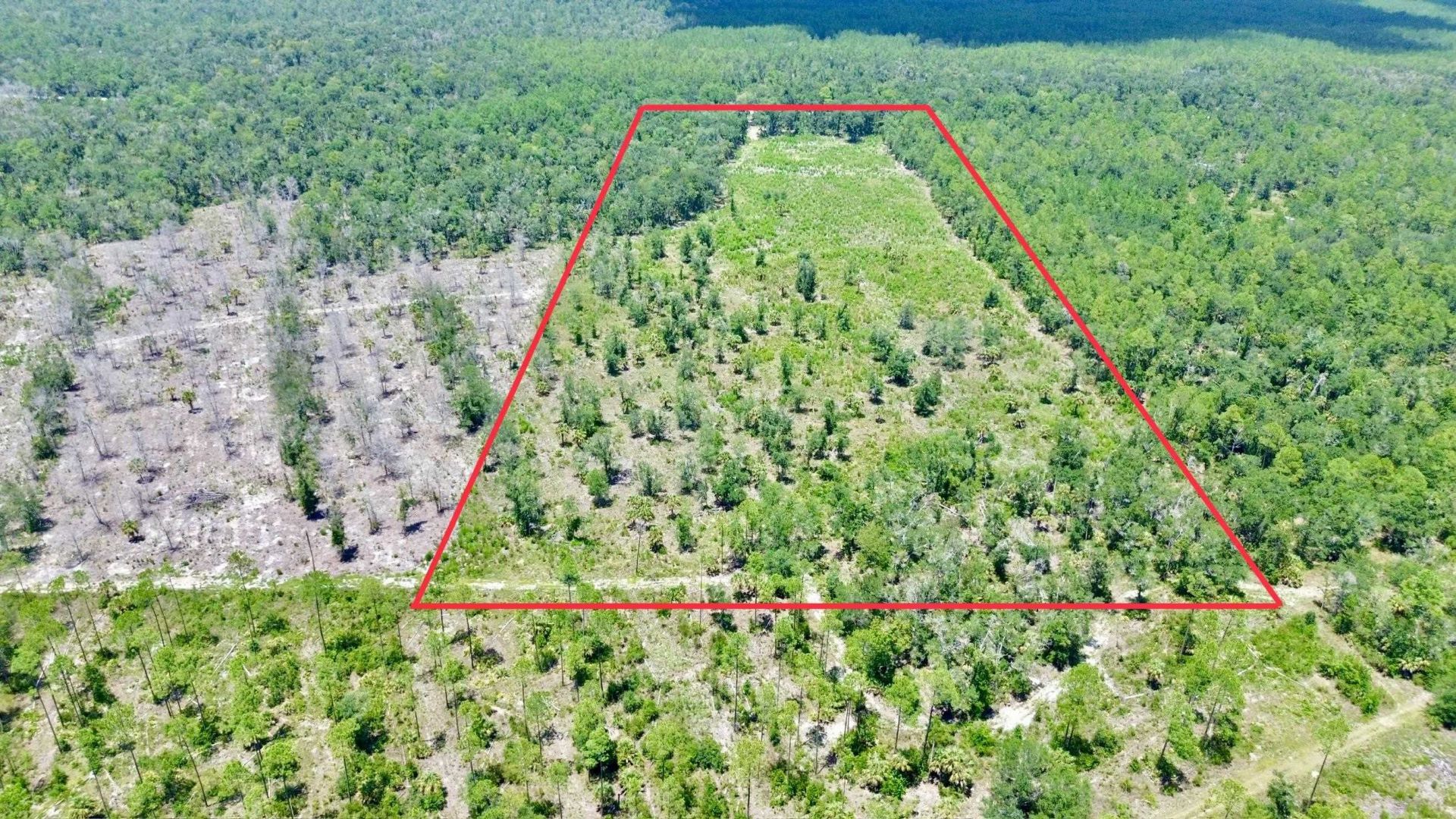 Vacant W Us Hwy 98, Lamont, FL 32336 Photo