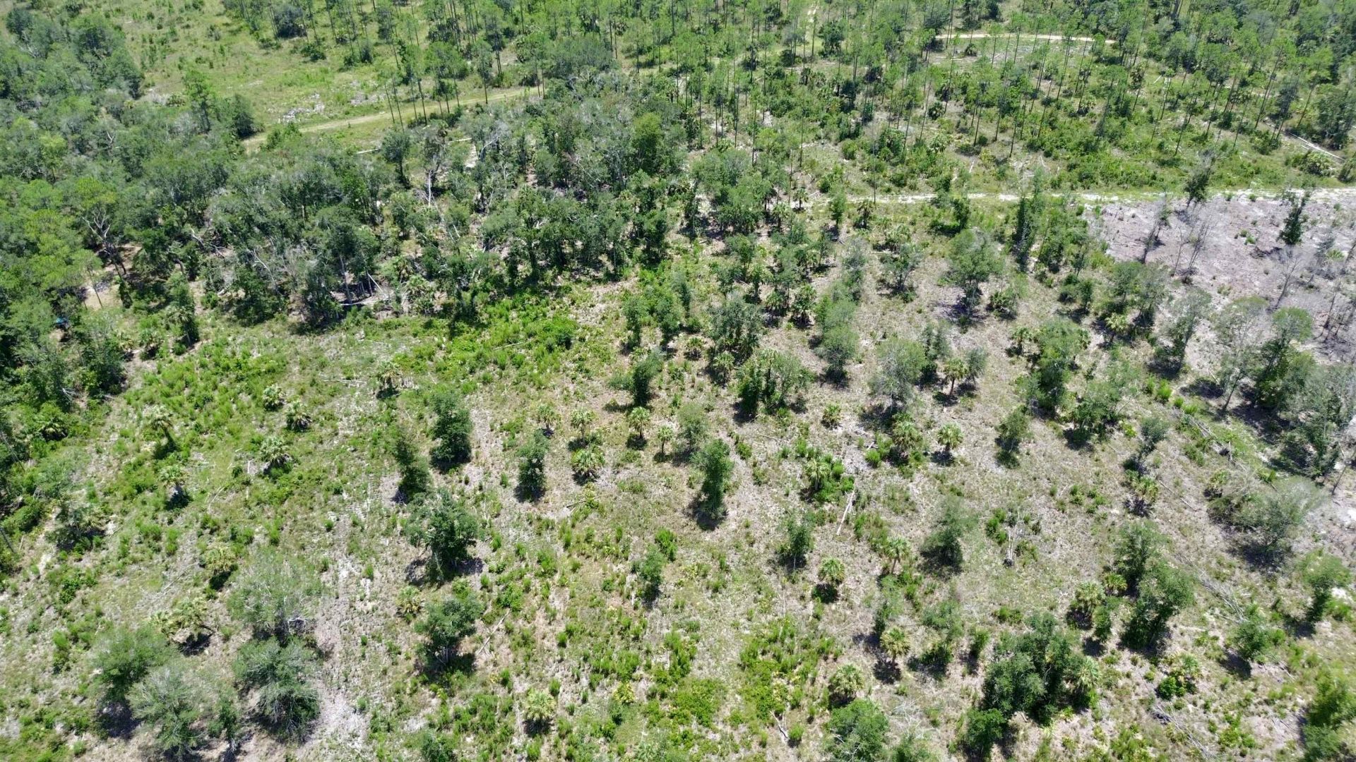 Vacant W Us Hwy 98, Lamont, FL 32336 Photo