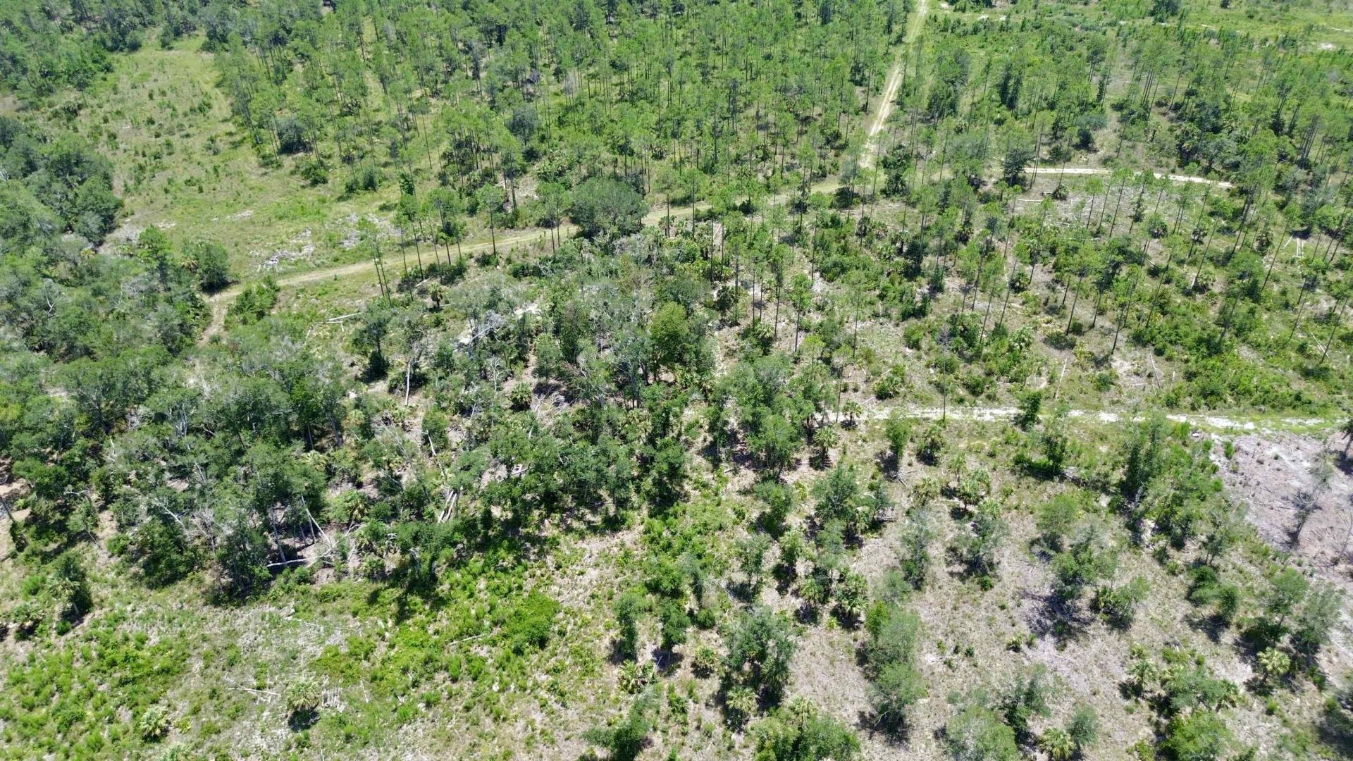 Vacant W Us Hwy 98, Lamont, FL 32336 Photo