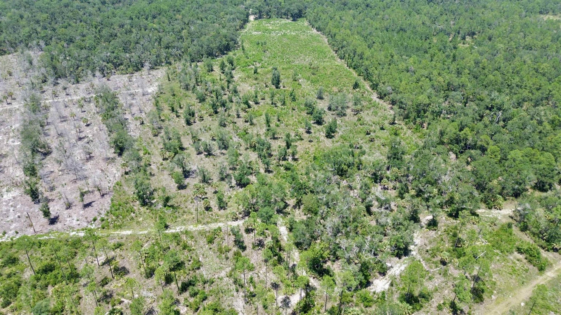 Vacant W Us Hwy 98, Lamont, FL 32336 Photo