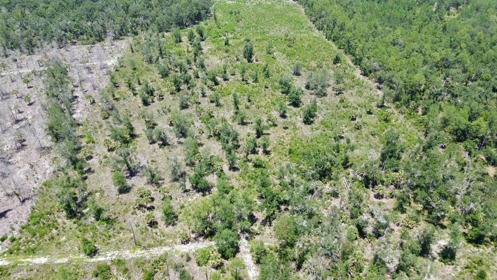 Vacant W Us Hwy 98, Lamont, FL 32336 Photo