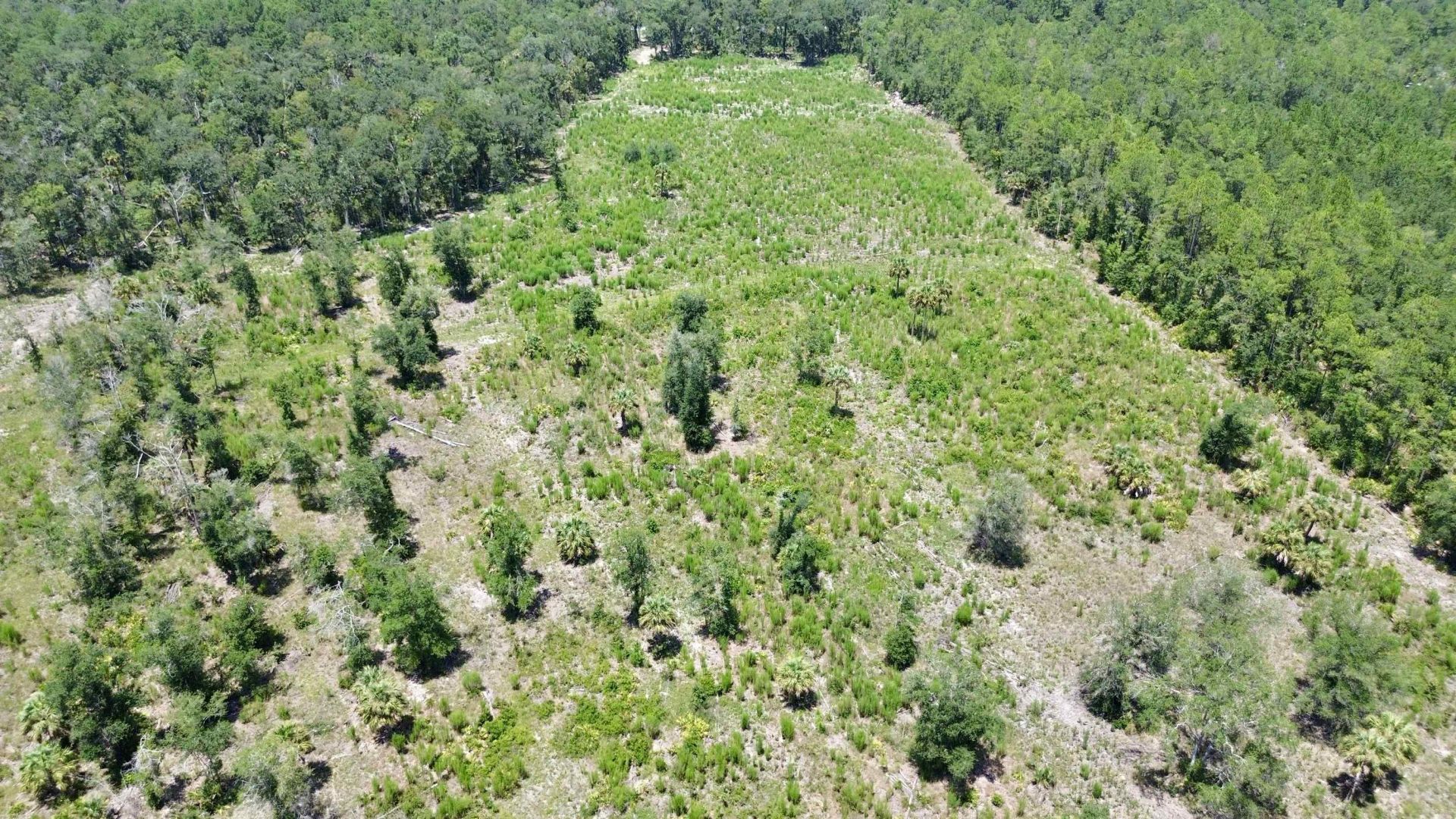 Vacant W Us Hwy 98, Lamont, FL 32336 Photo