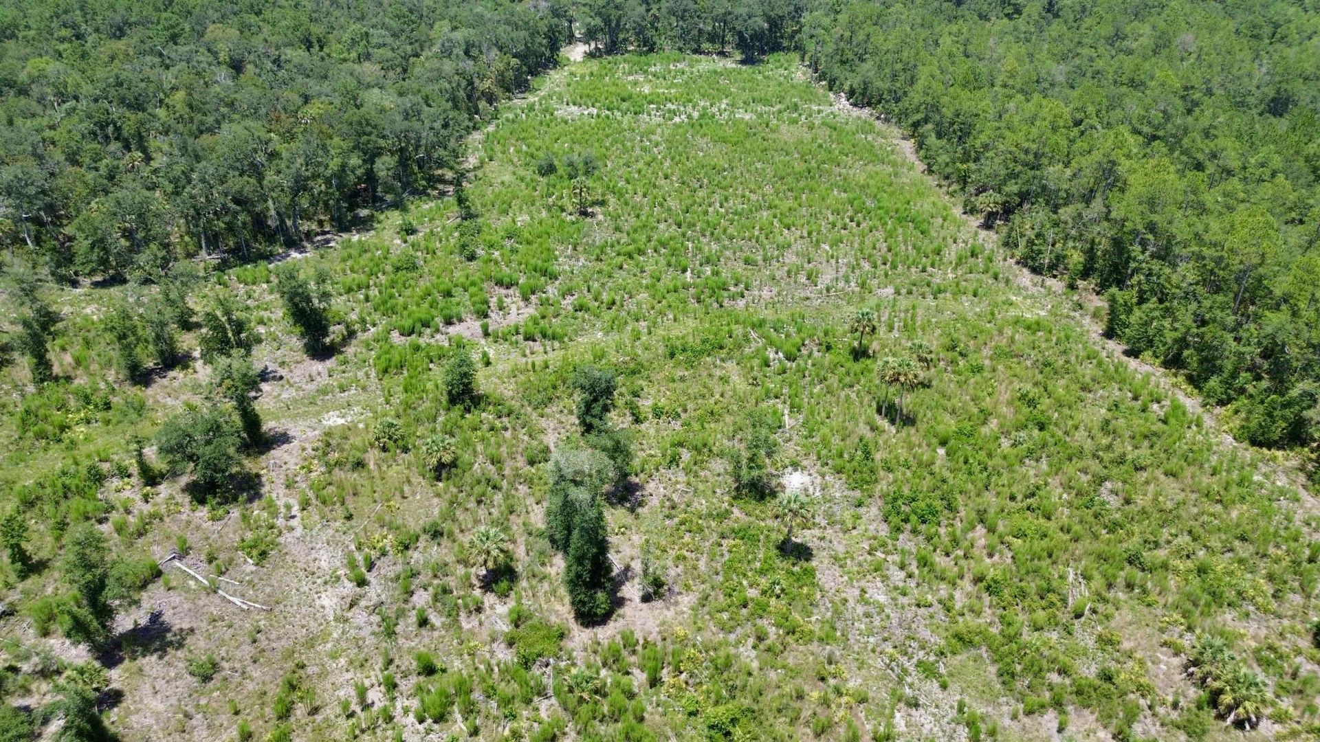 Vacant W Us Hwy 98, Lamont, FL 32336 Photo