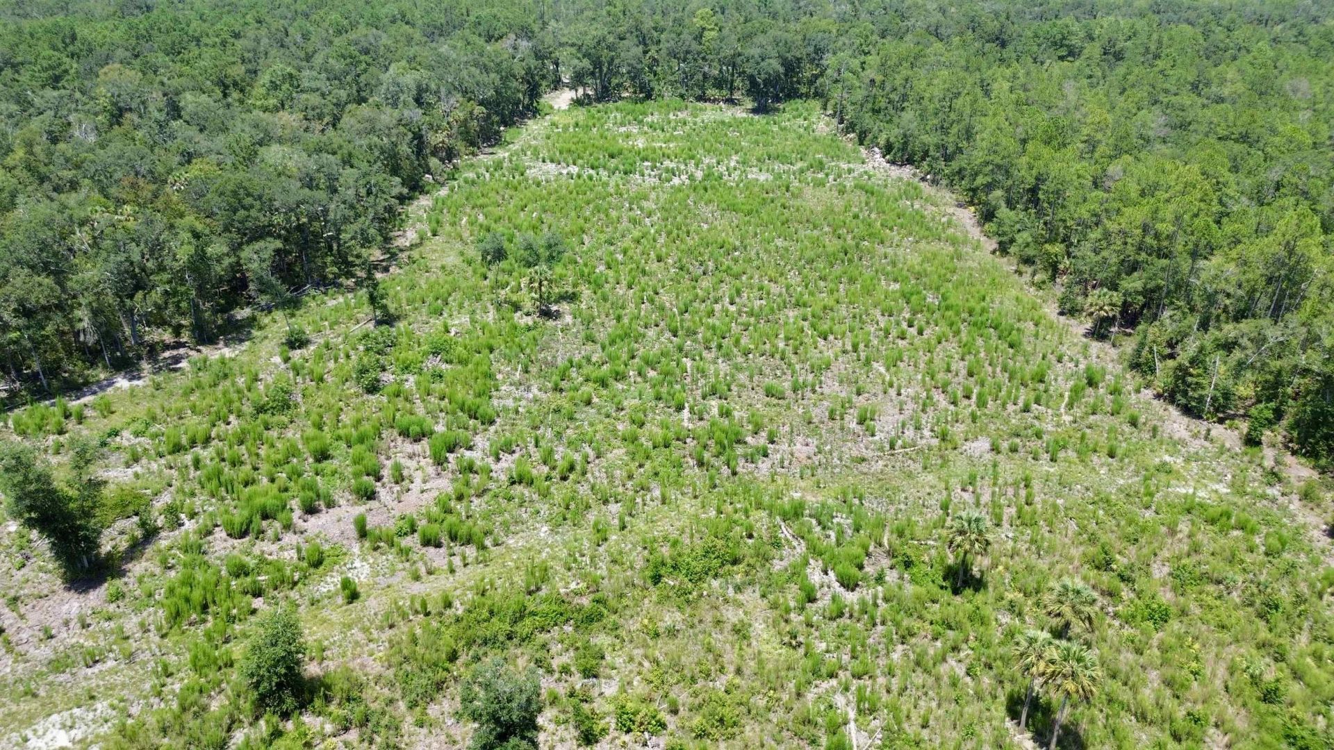 Vacant W Us Hwy 98, Lamont, FL 32336 Photo