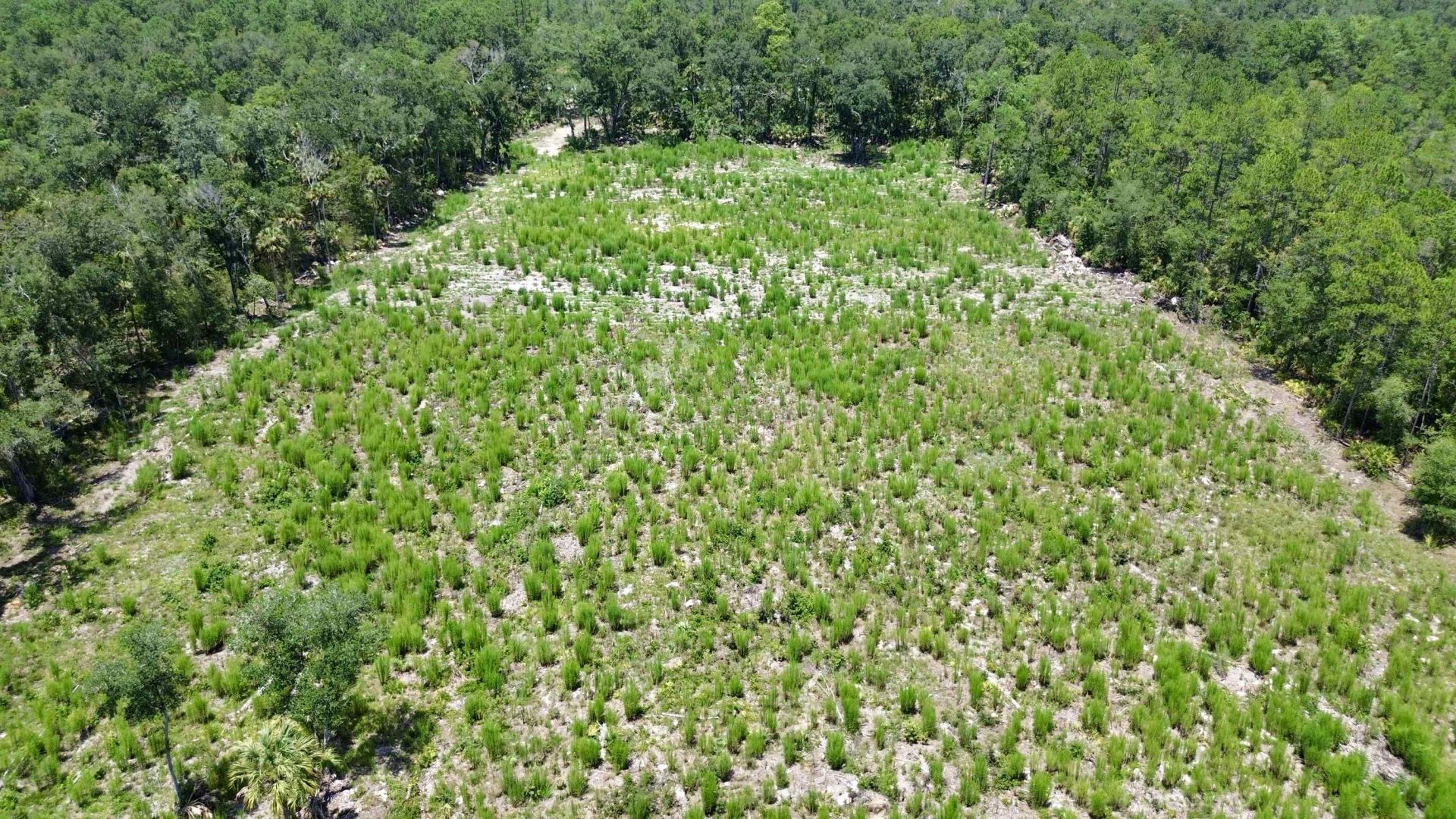 Vacant W Us Hwy 98, Lamont, FL 32336 Photo