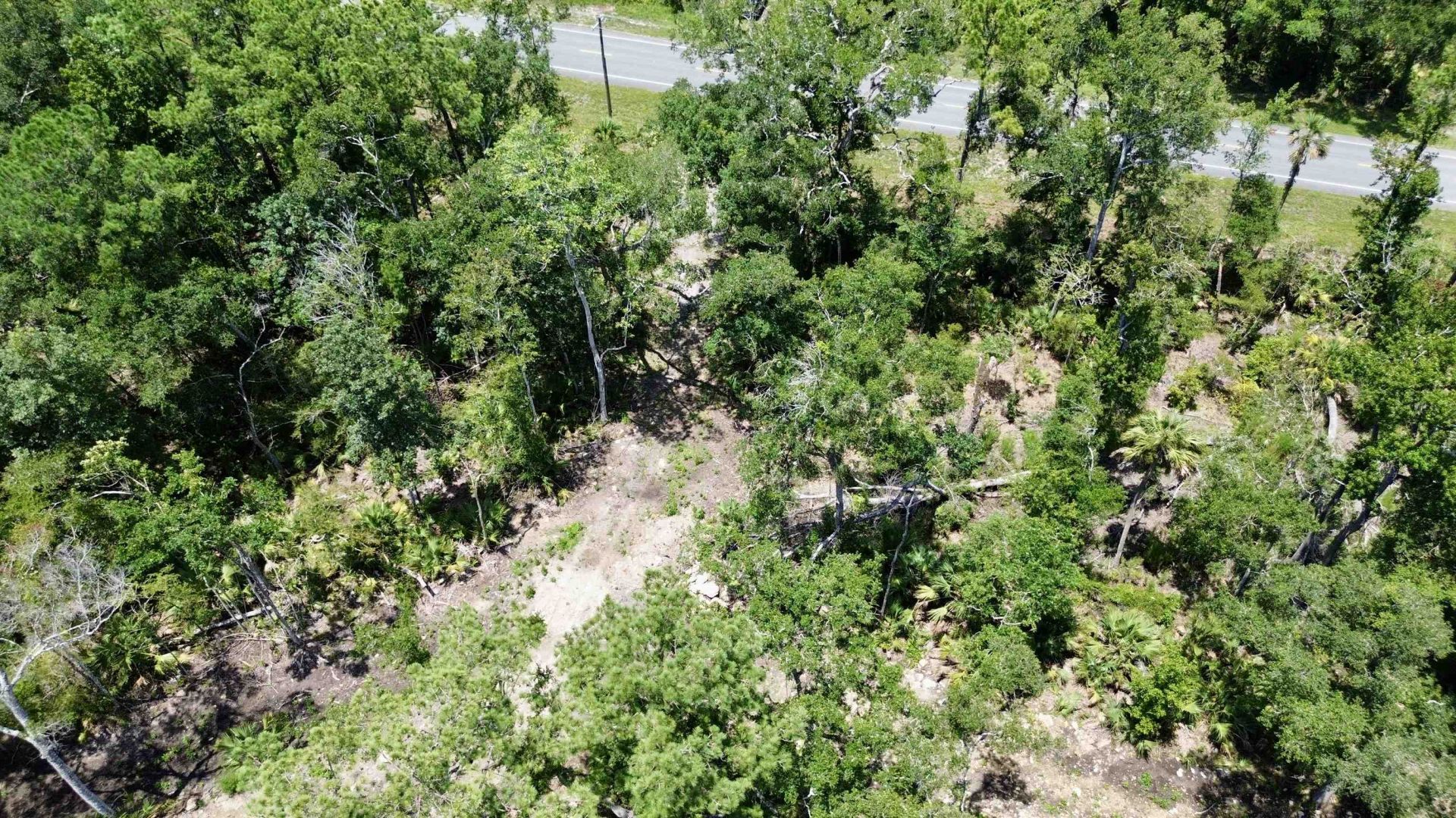 Vacant W Us Hwy 98, Lamont, FL 32336 Photo