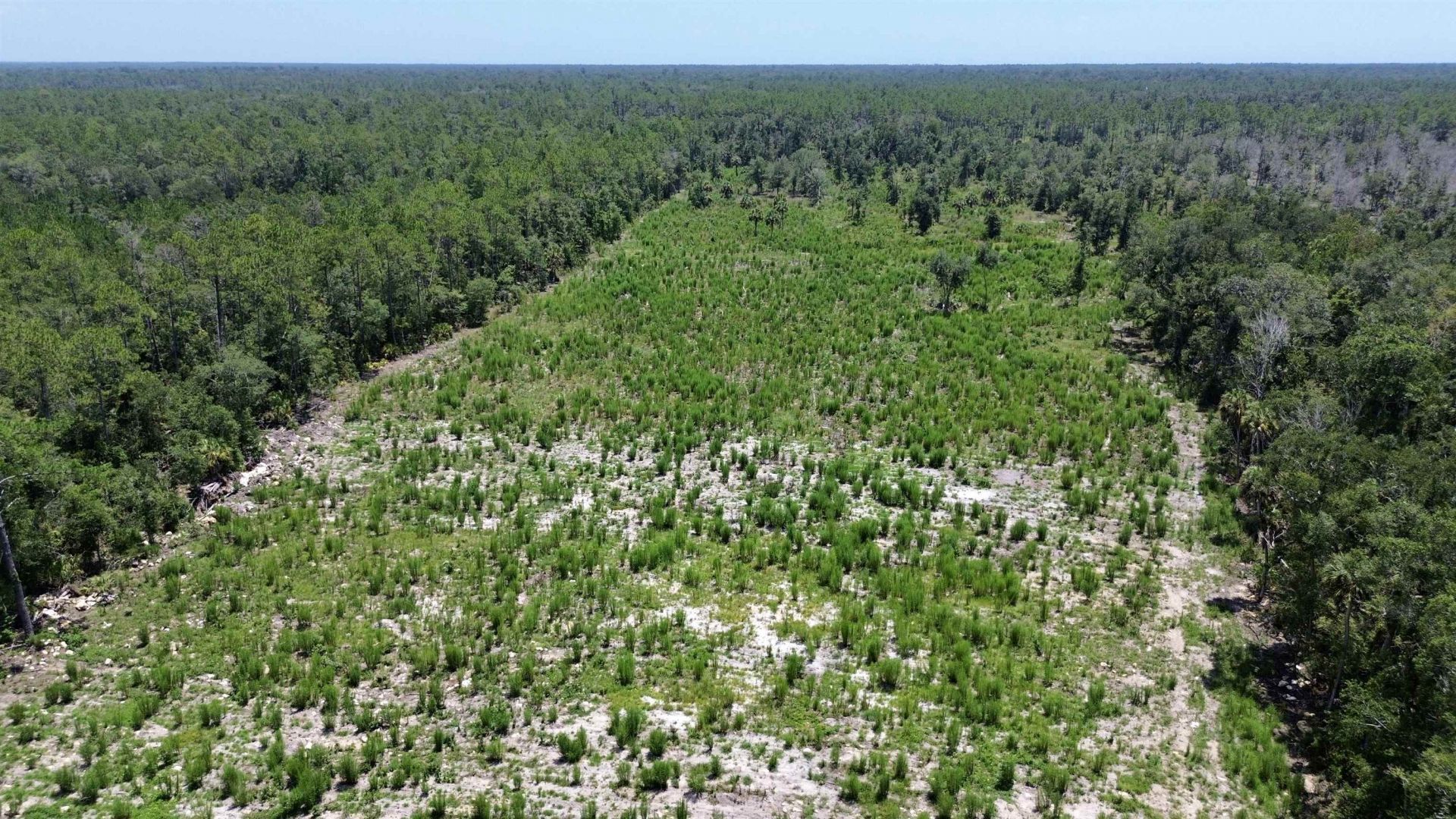 Vacant W Us Hwy 98, Lamont, FL 32336 Photo