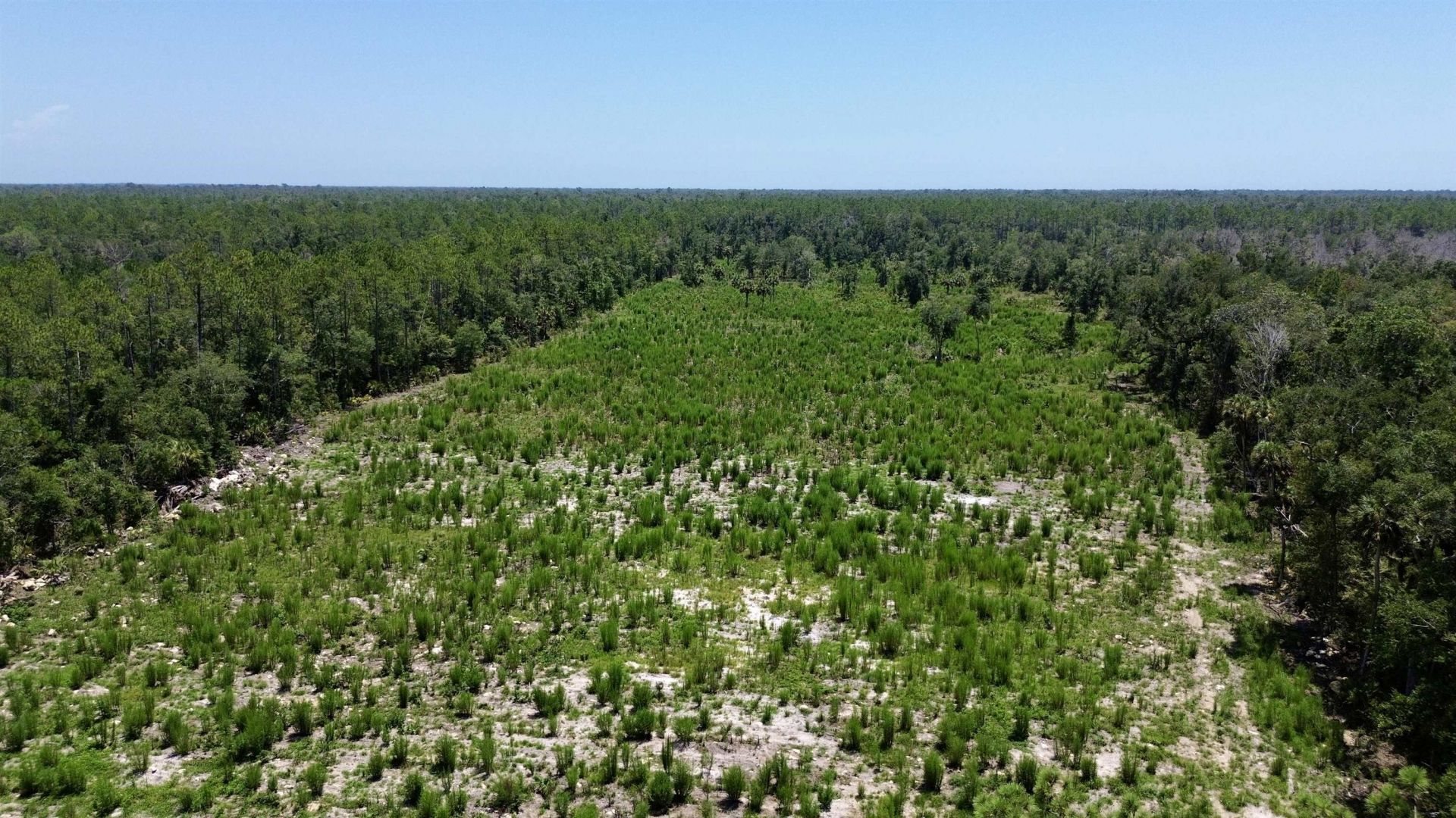 Vacant W Us Hwy 98, Lamont, FL 32336 Photo