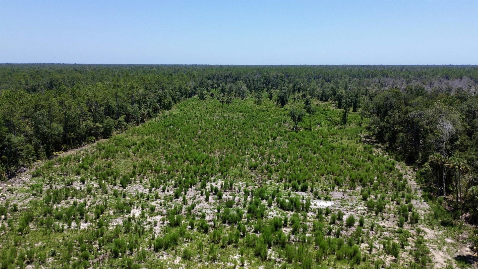 Vacant W Us Hwy 98, Lamont, FL 32336 Photo
