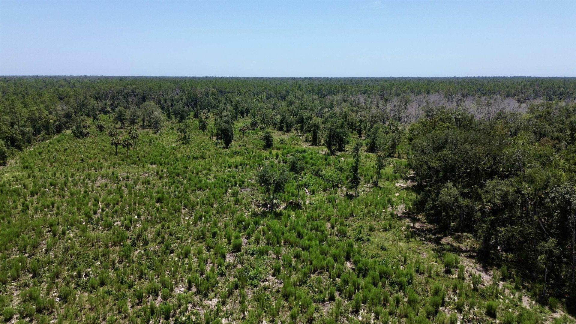 Vacant W Us Hwy 98, Lamont, FL 32336 Photo