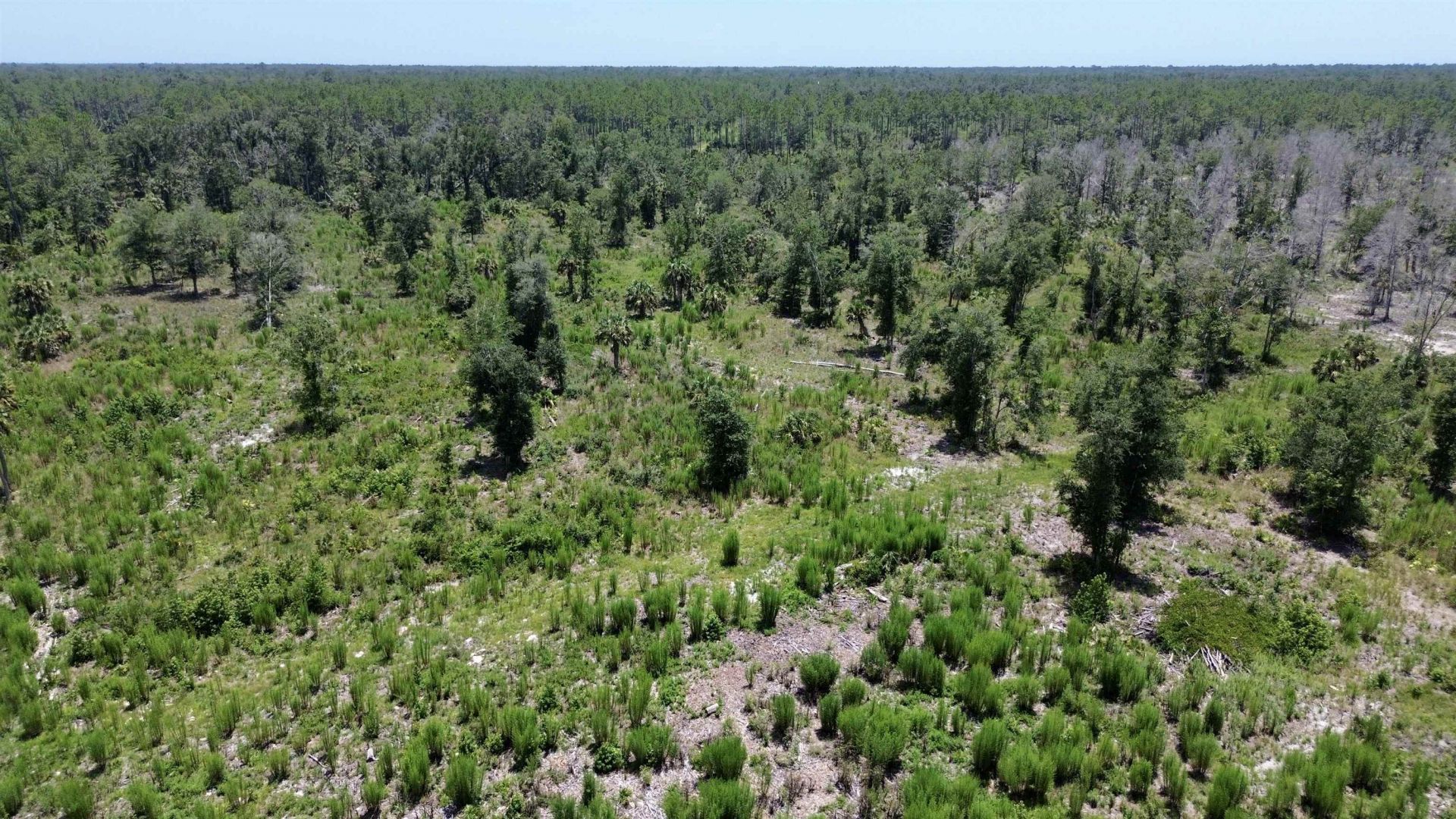 Vacant W Us Hwy 98, Lamont, FL 32336 Photo
