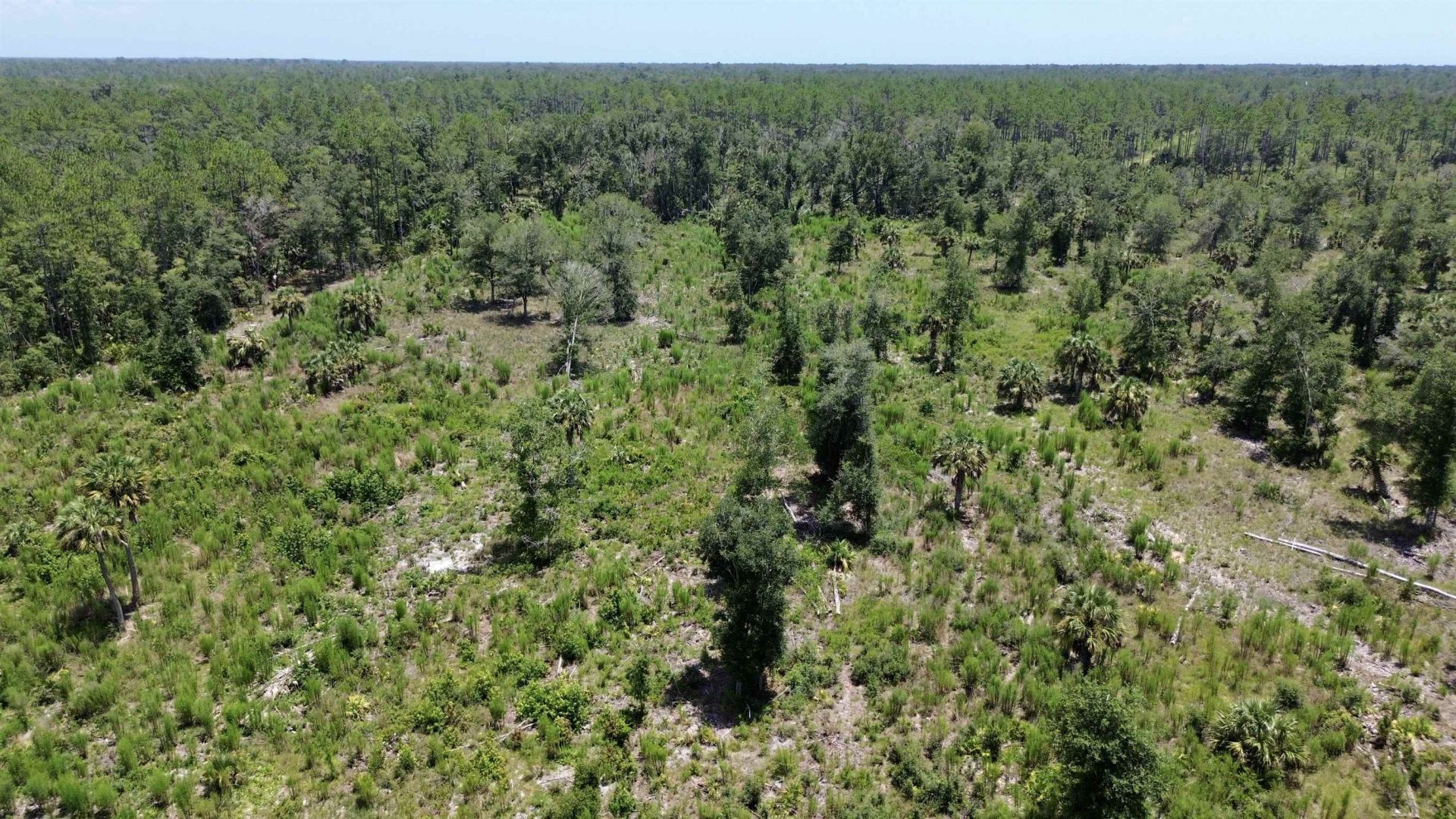 Vacant W Us Hwy 98, Lamont, FL 32336 Photo