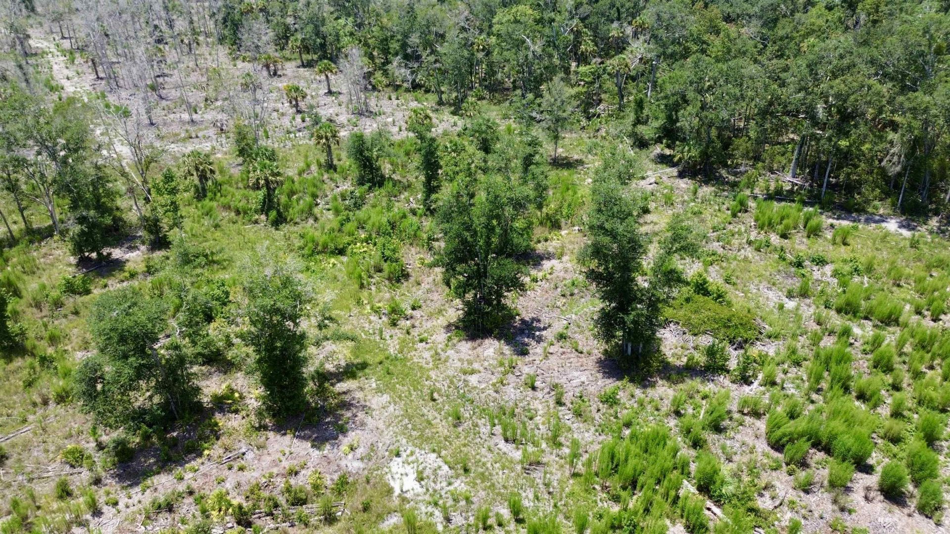 Vacant W Us Hwy 98, Lamont, FL 32336 Photo