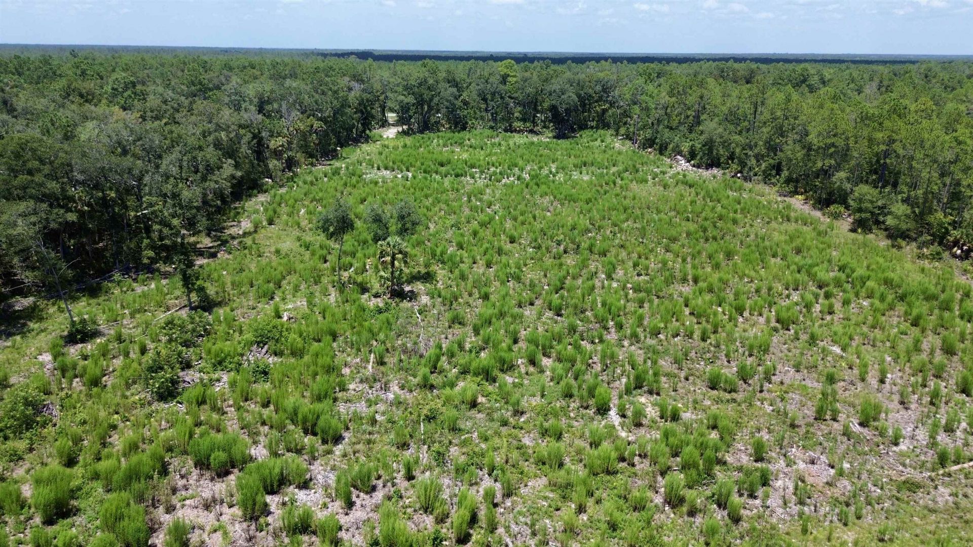 Vacant W Us Hwy 98, Lamont, FL 32336 Photo
