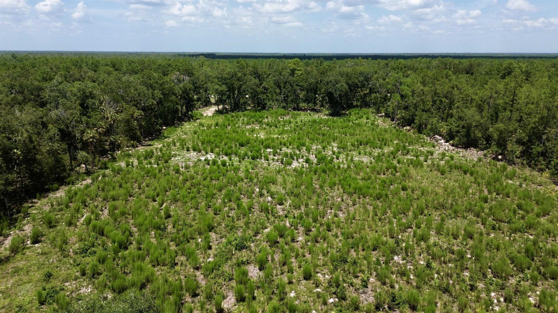 Vacant W Us Hwy 98, Lamont, FL 32336 Photo