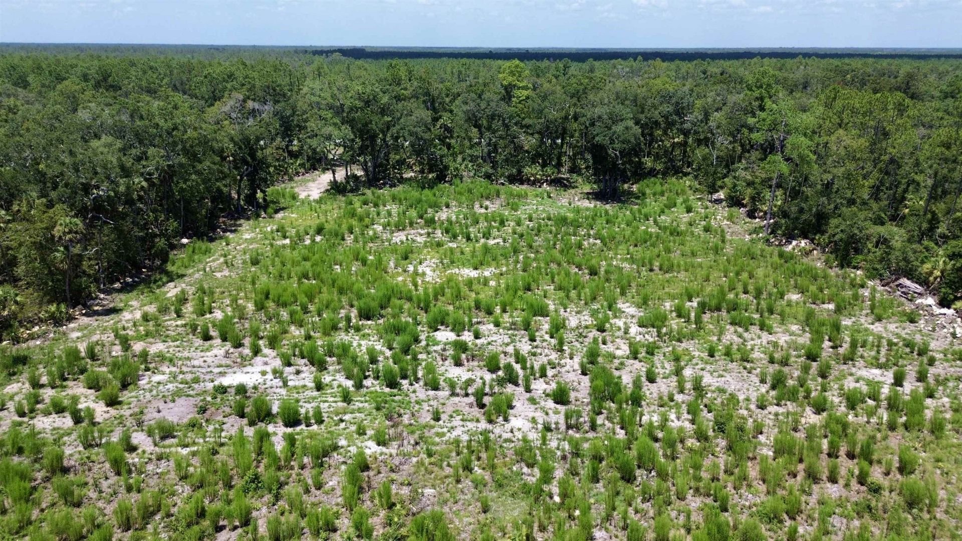 Vacant W Us Hwy 98, Lamont, FL 32336 Photo
