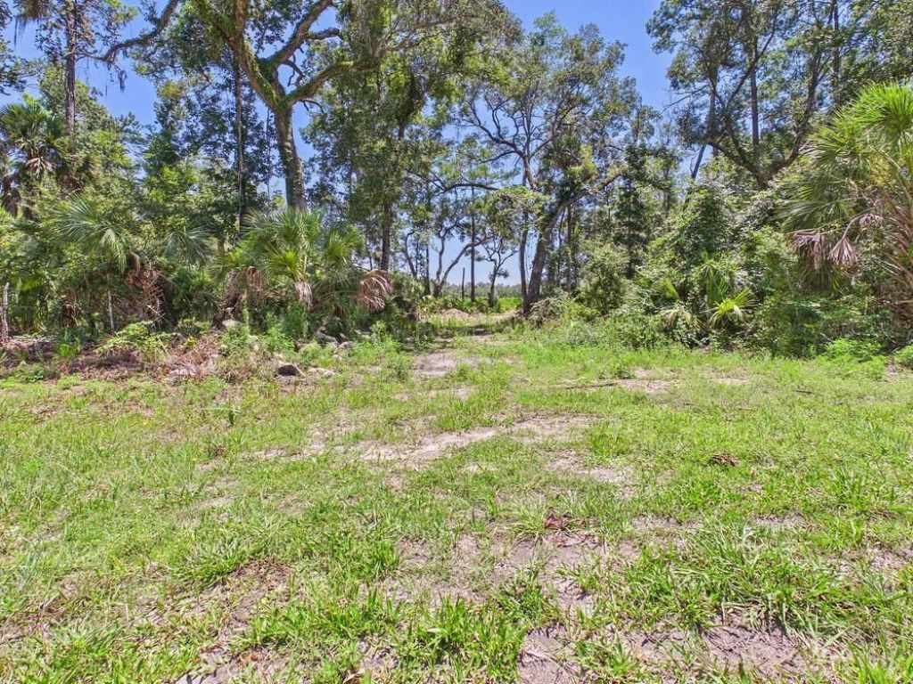 Vacant W Us Hwy 98, Lamont, FL 32336 Photo