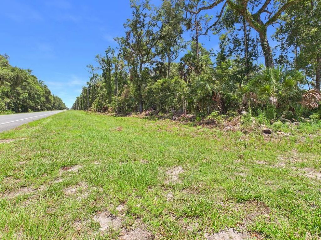 Vacant W Us Hwy 98, Lamont, FL 32336 Photo