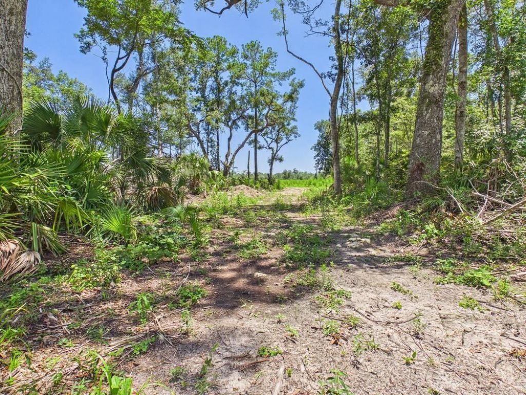 Vacant W Us Hwy 98, Lamont, FL 32336 Photo