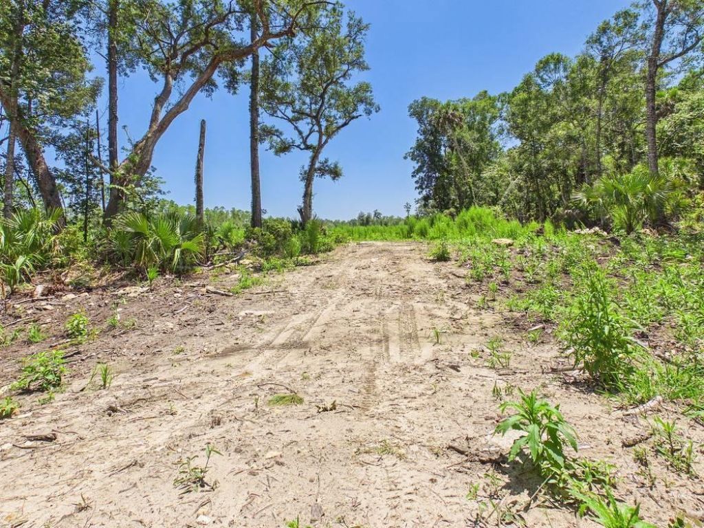 Vacant W Us Hwy 98, Lamont, FL 32336 Photo