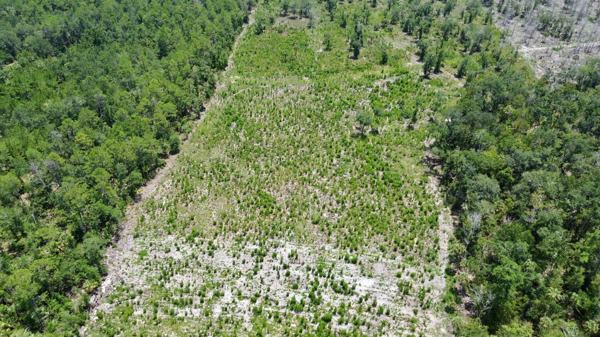 Vacant W Us Hwy 98, Lamont, FL 32336 Photo