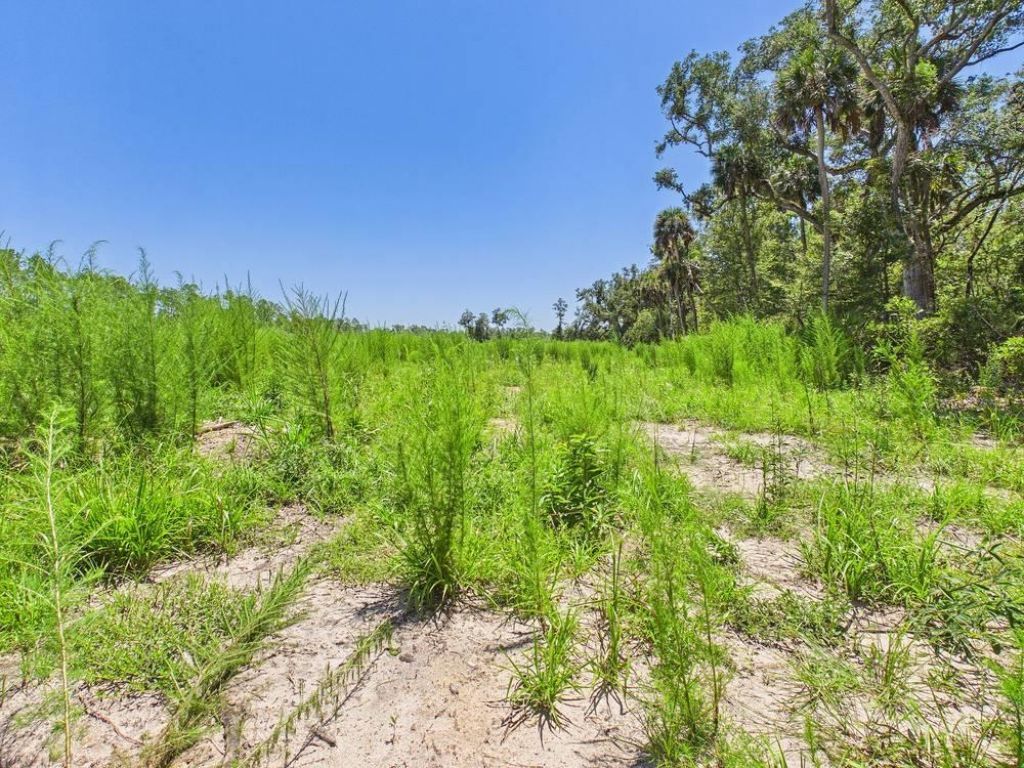 Vacant W Us Hwy 98, Lamont, FL 32336 Photo