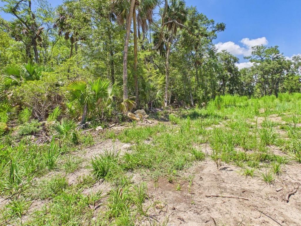 Vacant W Us Hwy 98, Lamont, FL 32336 Photo