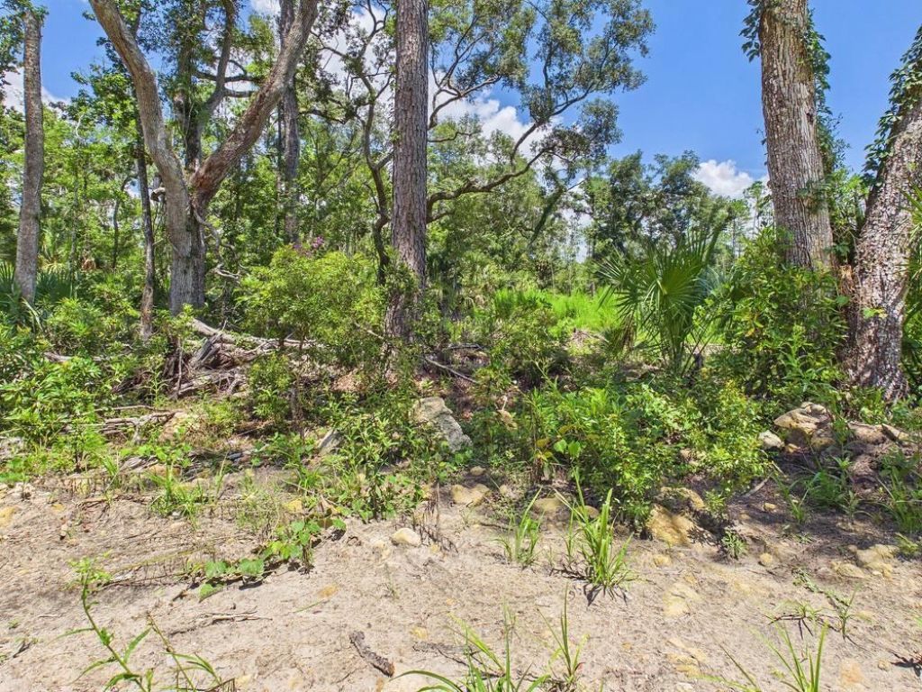 Vacant W Us Hwy 98, Lamont, FL 32336 Photo