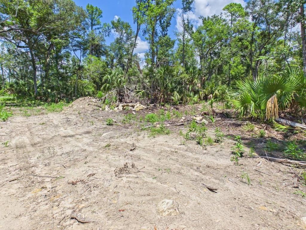 Vacant W Us Hwy 98, Lamont, FL 32336 Photo