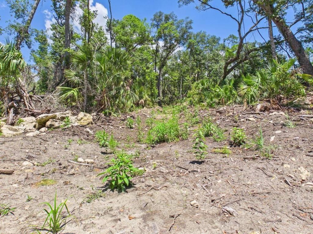 Vacant W Us Hwy 98, Lamont, FL 32336 Photo