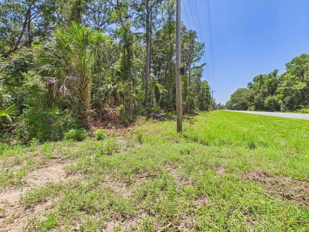 Vacant W Us Hwy 98, Lamont, FL 32336 Photo