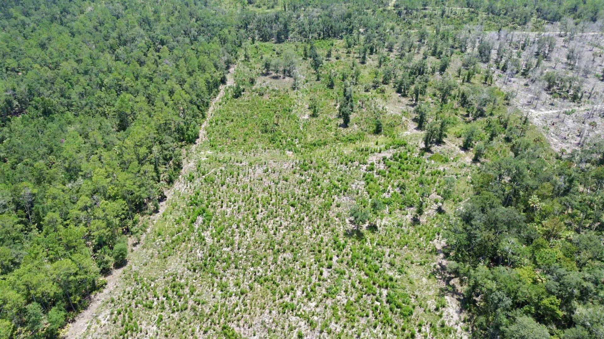 Vacant W Us Hwy 98, Lamont, FL 32336 Photo
