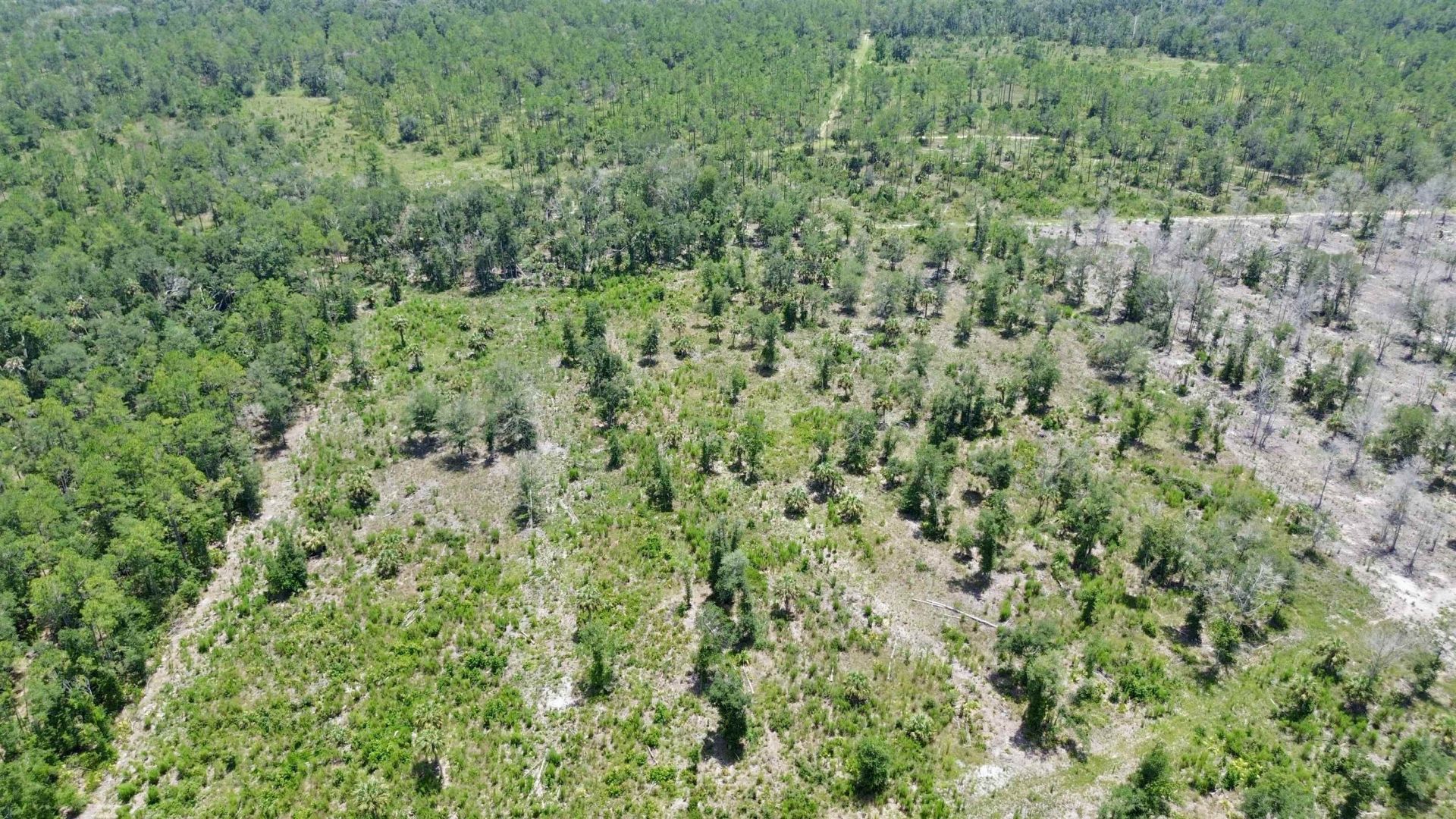 Vacant W Us Hwy 98, Lamont, FL 32336 Photo