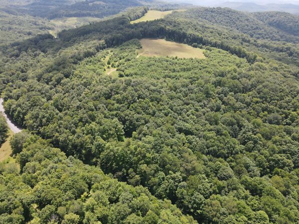 1199;1227 1295 Fenwick, Richwood, WV 26261
