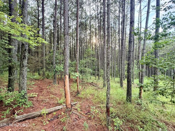Lot 10, 11, & 13 Airport Road , Rockwood, TN 37854