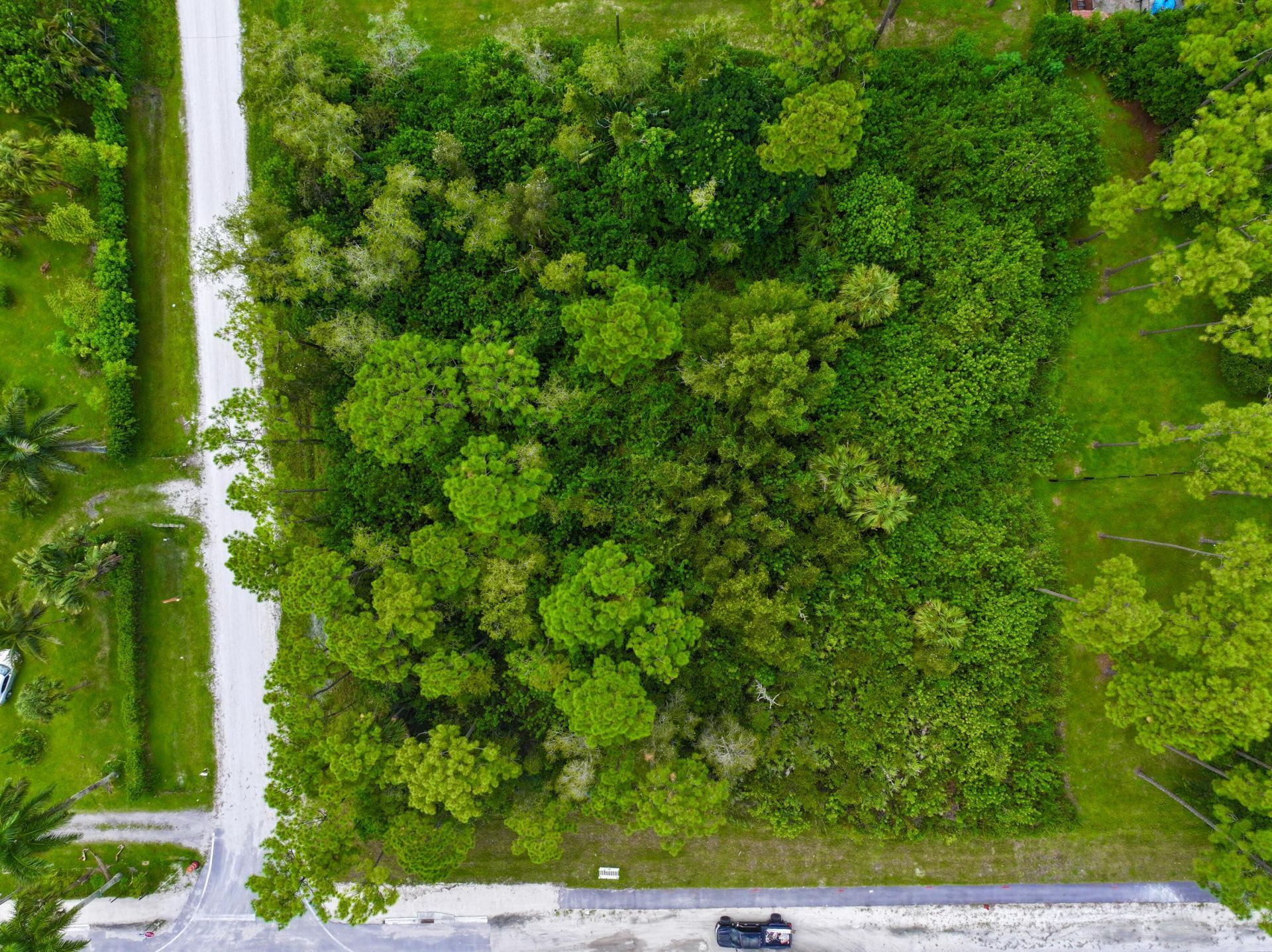8601 Seminole Pratt Whitney Road, The Acreage, FL 33470 Photo
