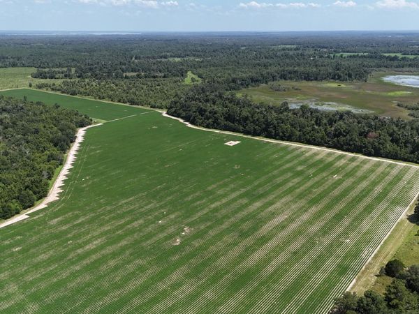 0 Longpond Road , Grand Ridge, FL 32442