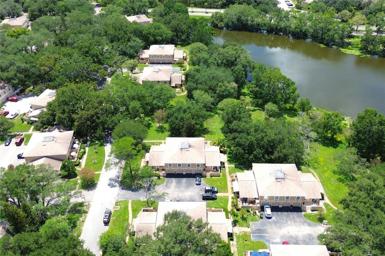 11861 Raintree Drive , Unit 65, Tampa, FL 33617 Photo