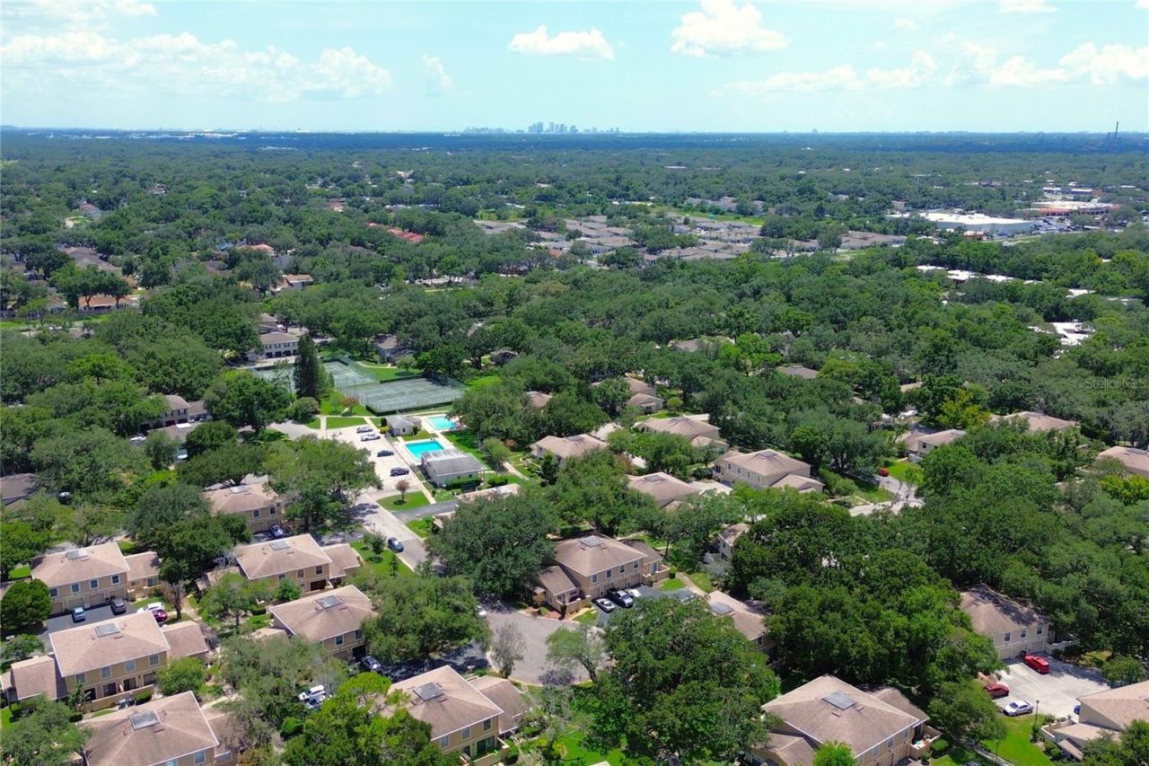 11861 Raintree Drive , Unit 65, Tampa, FL 33617 Photo