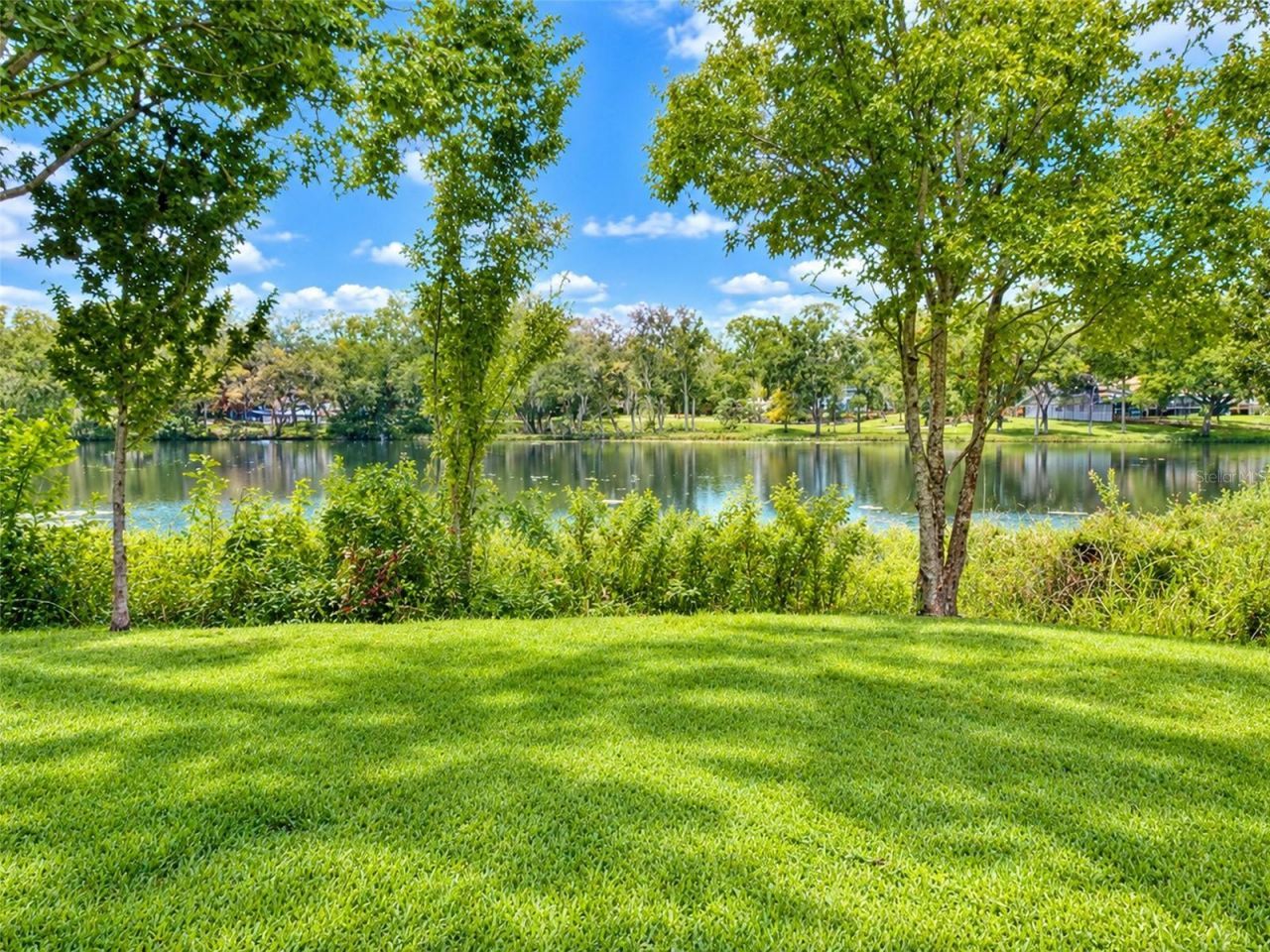 11861 Raintree Drive, Unit 65, Tampa, FL 33617 Photo
