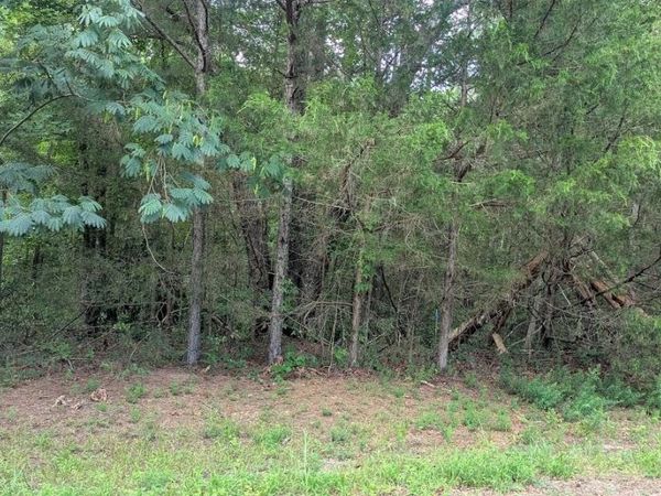 County Road 951, Guntown, MS 38849