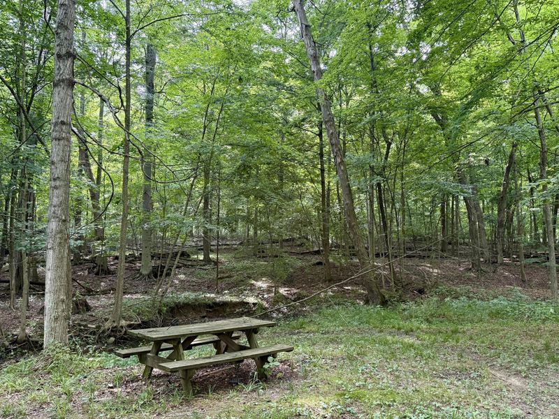 12761 Old Mansfield Road, Mount Vernon, OH 43050 Photo 4