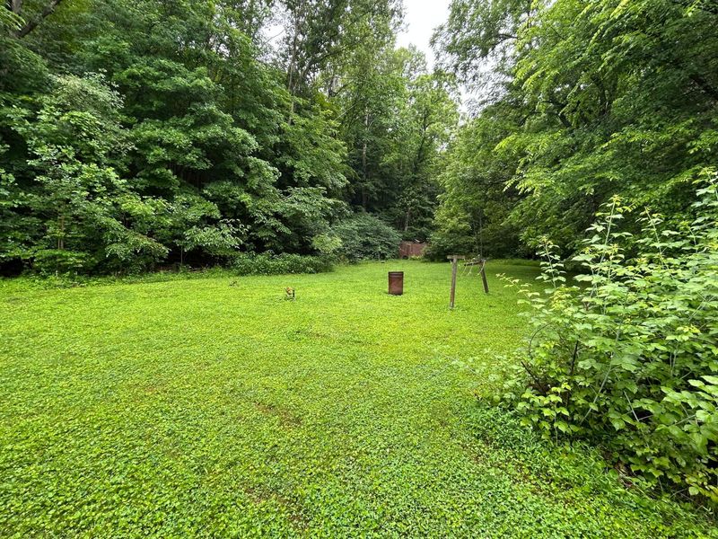 165 Swift Creek Road, Beaver, OH 45613 Photo 10