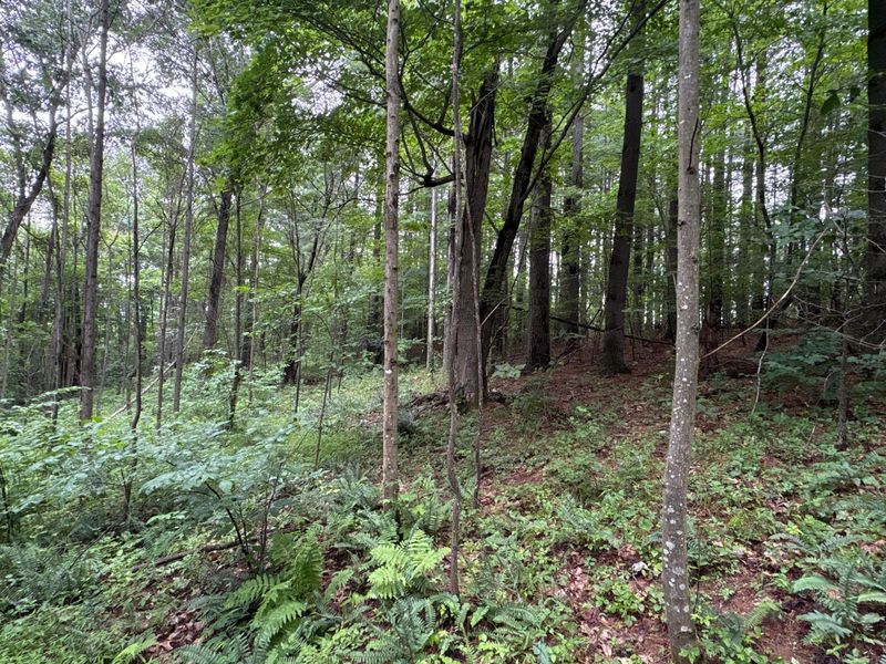 165 Swift Creek Road, Beaver, OH 45613 Photo 19