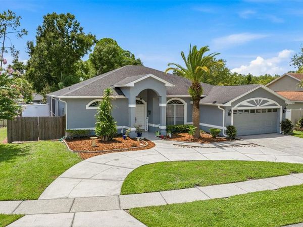 15306 CARROLLTON LANE , TAMPA, FL 33624